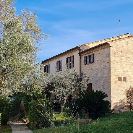 Le Residenze Degli Ulivi Campofilone Exterior foto
